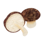 Mighty Mushie Brooch