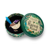 Purple-Crowned Fairy Wren Brooch
