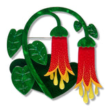 Common Correa Brooch