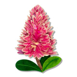 Pink Mulla Mulla Brooch